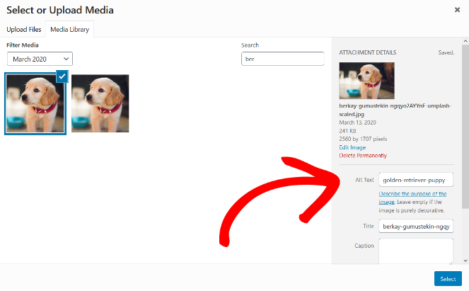alt-text-wordpress - Blog Tyrant alt-text-images-wordpress
