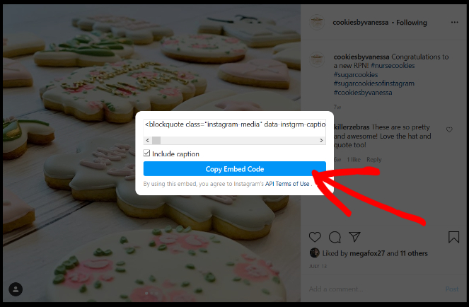 instagram-copy-embed-code - Blog Tyrant copy-embed-code