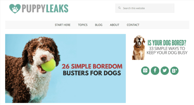 10.-puppyleaks-1 - Blog Tyrant types of blogs that make money - pet blog example