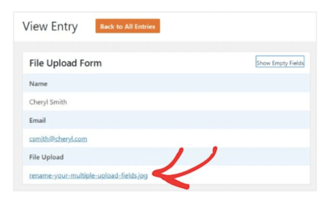 38.-view-files- - Blog Tyrant You can view each image that a user uploads on your wordpress site