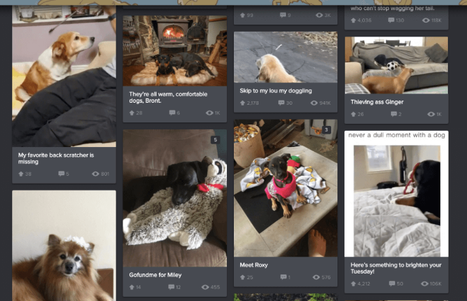 4.-imgur-gallery-upload - Blog Tyrant An example of submitting images to a photo gallery imgur