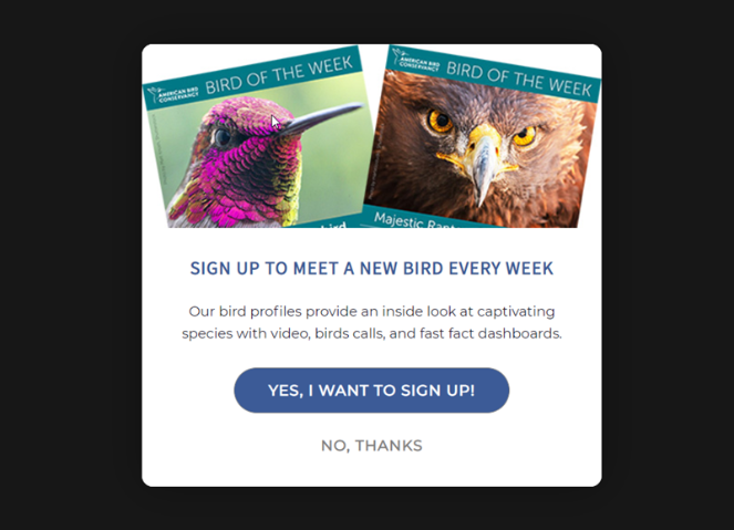 bird-week - Blog Tyrant bird of the week lead magnet