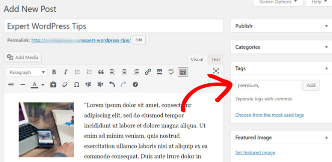 memberpress-premium-content-tags - Blog Tyrant add-premium-tag-existing-blog-post