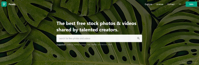 pexels-free-photo-site - Blog Tyrant pexels-free-photos-for-blogs