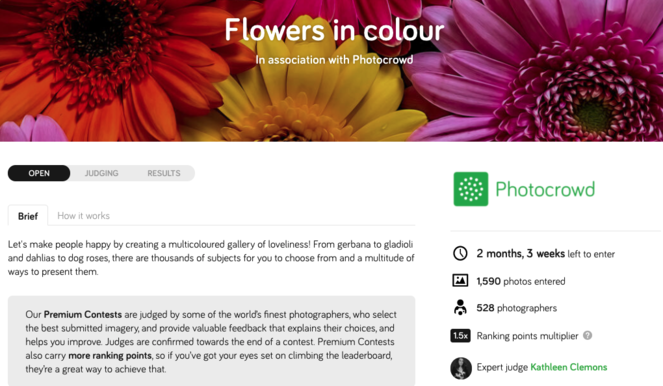 photocontest - Blog Tyrant photo contest example