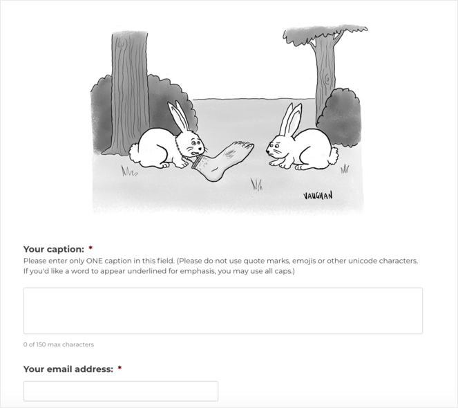 rabbit - Blog Tyrant caption giveaway ideas