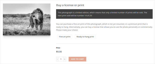 rsz_add-to-cart - Blog Tyrant add photography prints to cart