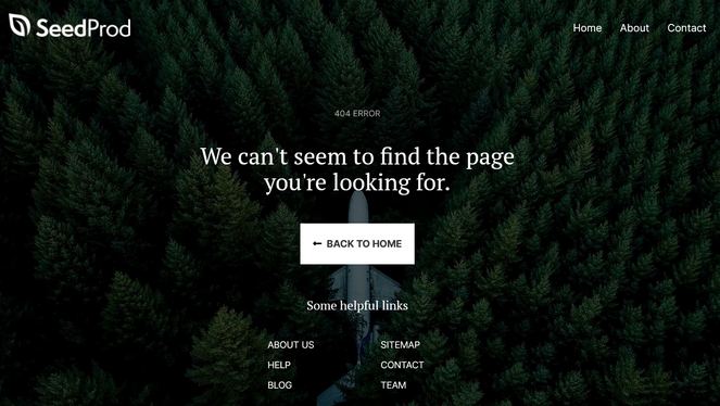 rsz_error-page-example - Blog Tyrant 404 error page created with landing page builder