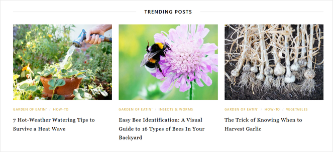 rsz_garden-betty - Blog Tyrant Look at other gardening blogs for blog post ideas