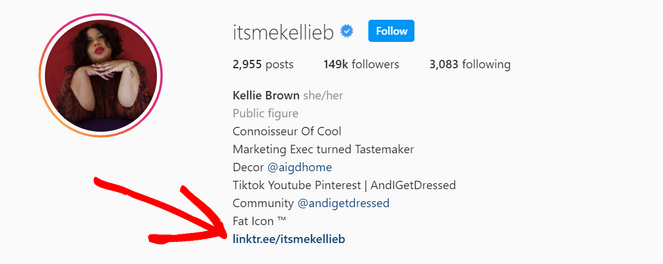 rsz_linktree-example - Blog Tyrant link in instragram bio example