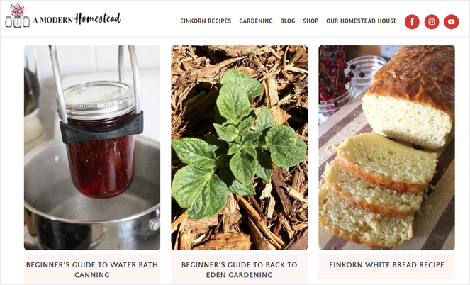 rsz_modern-homestead - Blog Tyrant A Modern Homestead gardening blog