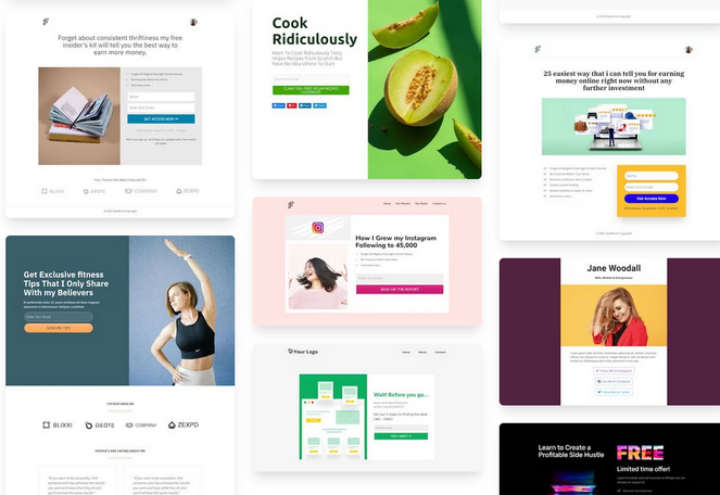 rsz_seedprod-templates-bt - Blog Tyrant seedprod email capture landing page templates