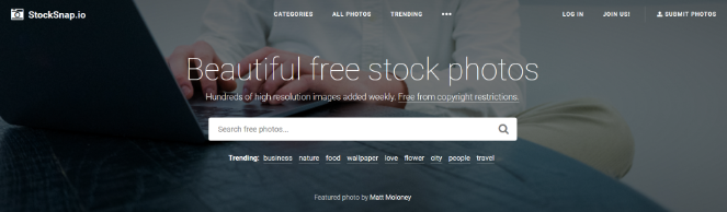 stocksnap-free-images - Blog Tyrant stocksnap-free-images-blog
