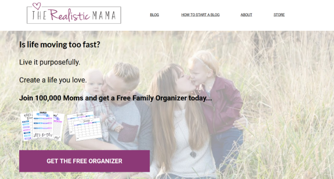 the-realistic-mama-1 - Blog Tyrant money-making-blog-realistic-mama