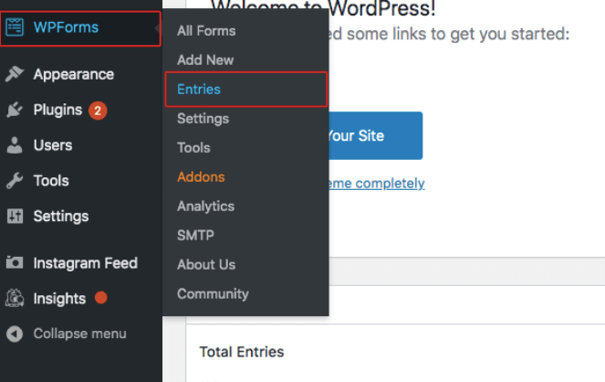 wp-form-to-entries-new - Blog Tyrant Click on entries in WPForms to view your uploaded images
